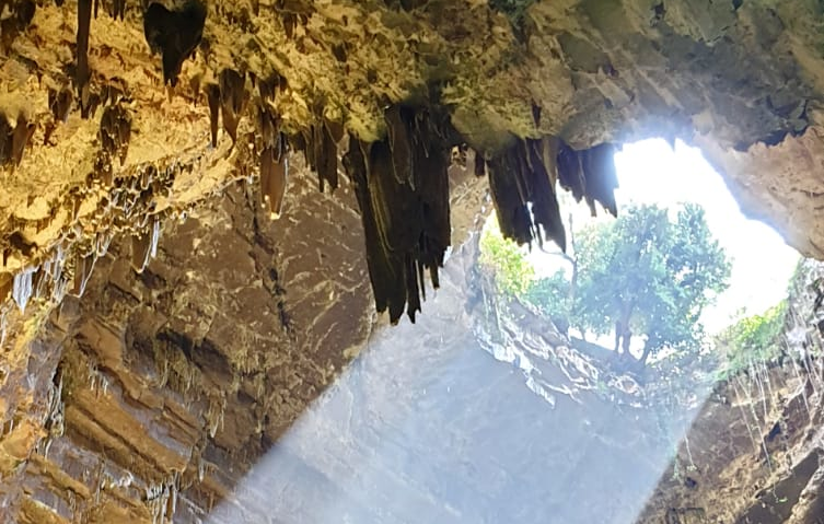 Gruß von Pfarrer Weßel zum Osterfest